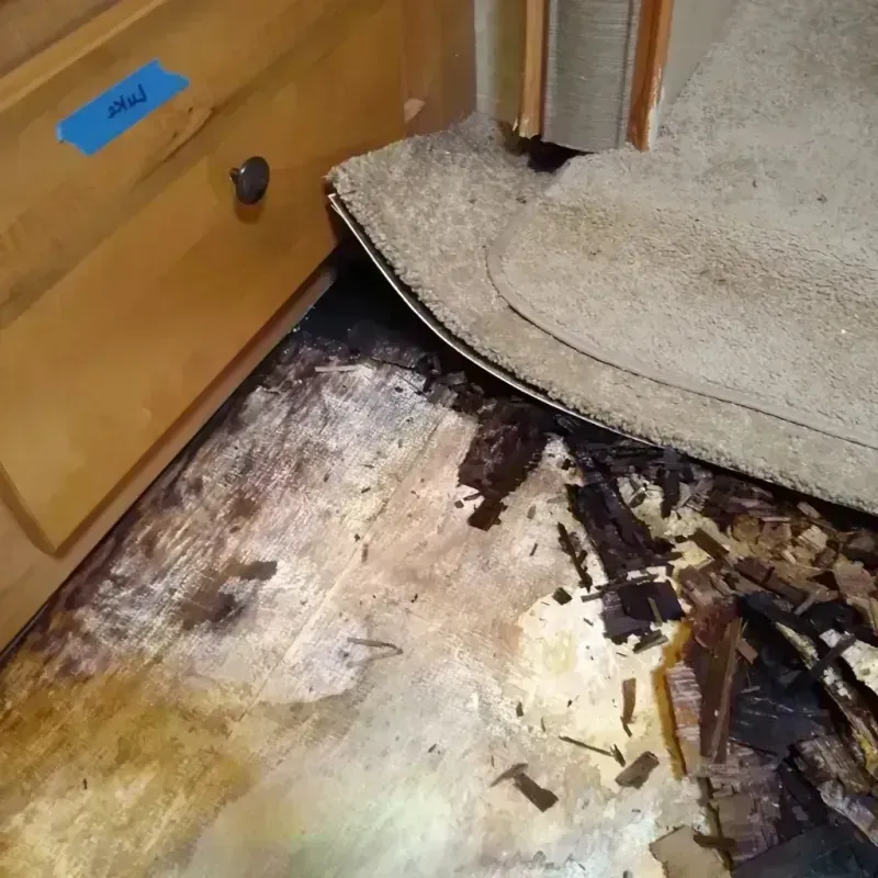 Wood Floor Water Damage in Tracy, CA